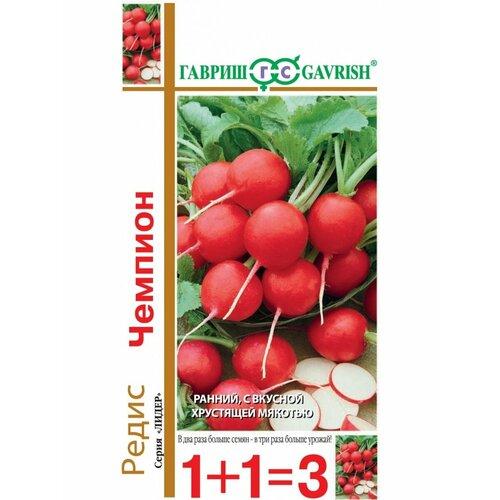 ������ ������ ������ ����� ������� 5� ������ (������) 1+1 ����