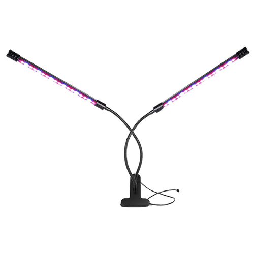 ������ ������ ��������� ��� �������, 2 ����������� ����