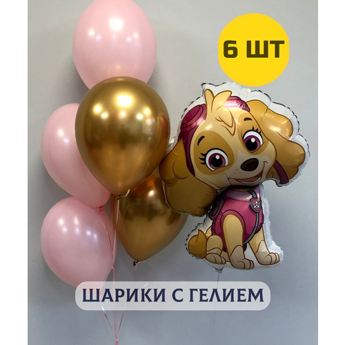 ������ ������ ��������� ���� � ������ ������� �� ���� �������� 