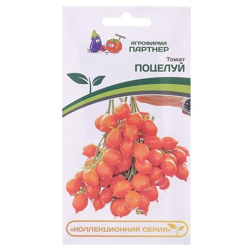 ������ ������ ������ ��������� ������� ����� ������� 10 �� ����