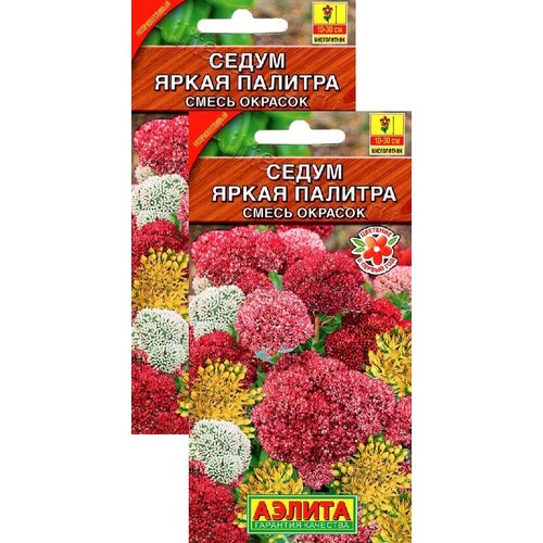 ������ ������ ����� ����� �������, ����� ������ (0,01 �), 2 ������ ����