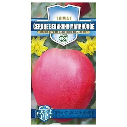 ������ ������ ������. ����� 