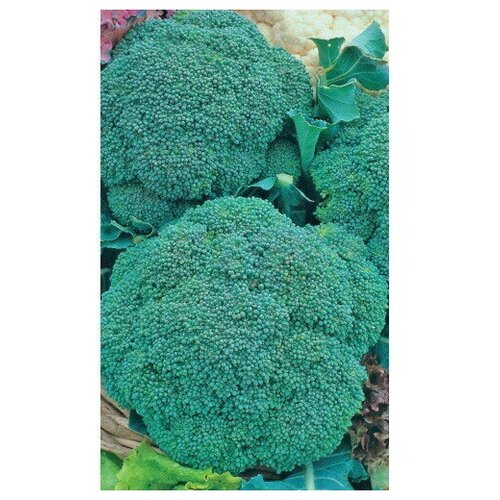 ������ ������ ������ ������� �������� ���������� ���������� 0,3� ������ (��������� ������) ����