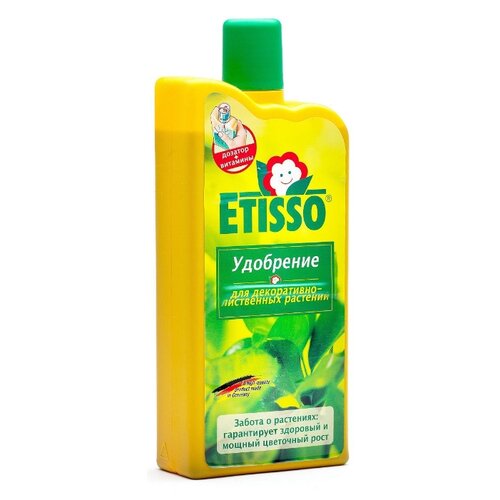  ETISSO ()    - ,    , 1000  ()   -     , -,   