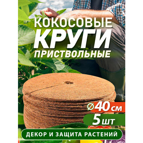 ������ ������ ������������ ���� �� ���������� ������� ������� 40 ��, 5 ���� ����