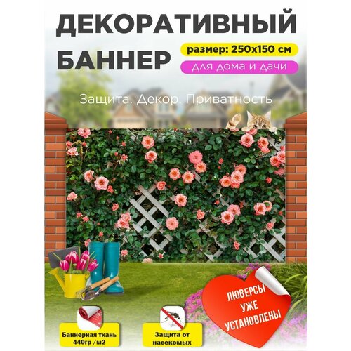 ������ ������ ��������� ������ �� ����� � ��������� 250�150 �� ����