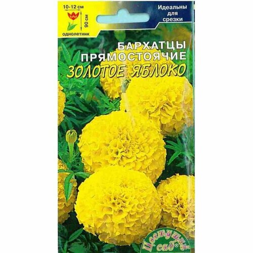 ������ ������ ������ �������� ������� ������, ��. (����������) (�������� ���) 0,3� ����