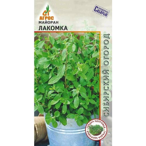 ������ ������ ������� ������� 0,1�, ����� ����