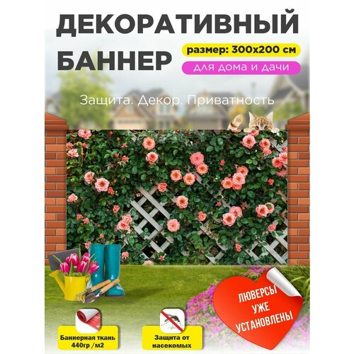 ������ ������ ��������� ������ �� ����� 300 �� � 200 �� � ��������� ����