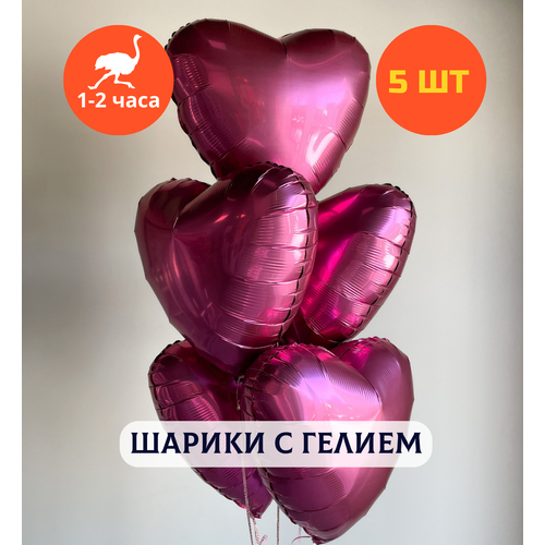 ������ ������ ������ ��������� �� ���� ��������, ��������� ���� � ������, ���� � ���� ��������, ����� ����� ��� ������� 