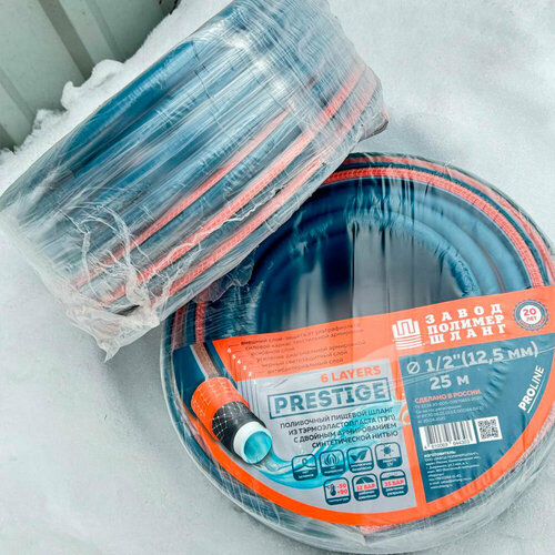 ������ ������ ����������� ���������� ����� 6 ����� �� ����������������� 