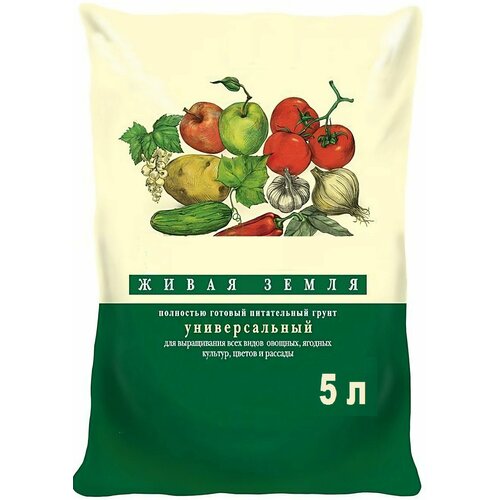 ������ ������ ���������� ����� ����� 5� ��������� ����