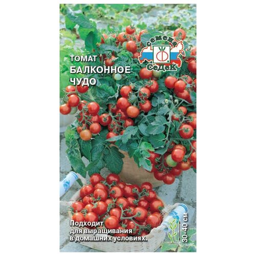 ������ ������ ������ ����� ��������� ����, 0,1 � (����� ) , �������� ��� ����������� �� ������� ��� ����������� ����