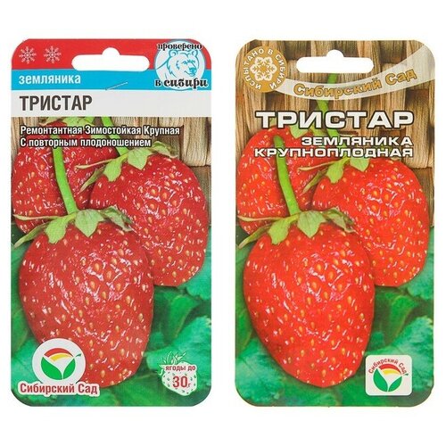 ������ ������ �������� ������� ����