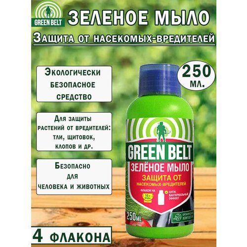 ������ ������ ������� ���� Green Belt, ��� ��������, ������ �� ���������, 250�� 4 ������� ����