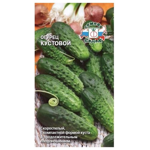 ������ ������ ������ ����� ��������� ������ ������ �������� 0.5 � ����