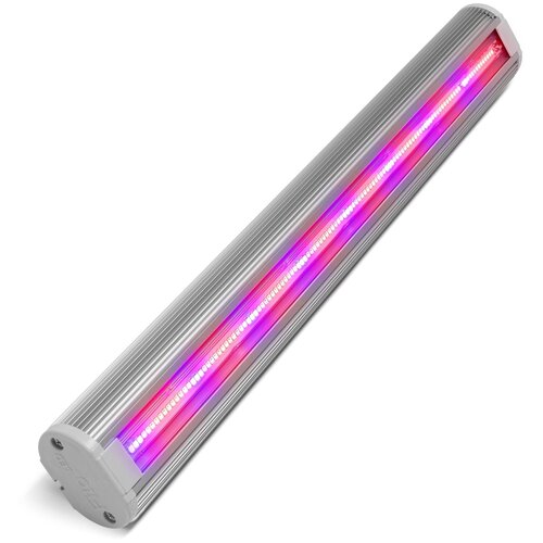 ������ ������ ��������� FitoLED 38 ����