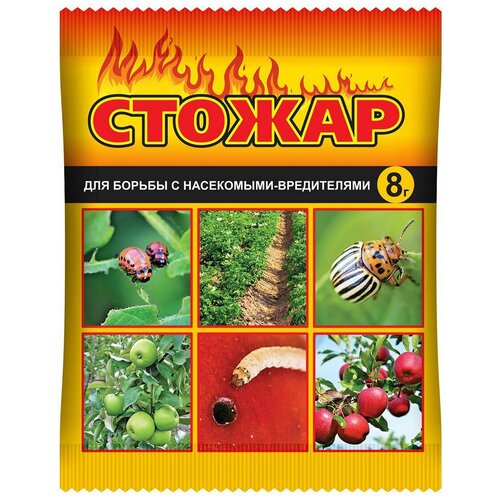 ������ ������ ���� ��������� �������� ��� ������ �������� �� ���������� ������, 8 ��, 8 � ����