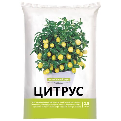 ������ ������ ����� ���-���� ��� ��������, 2.5 �, 2.5 �� ����