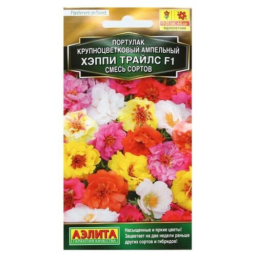 ������ ������ �������� 