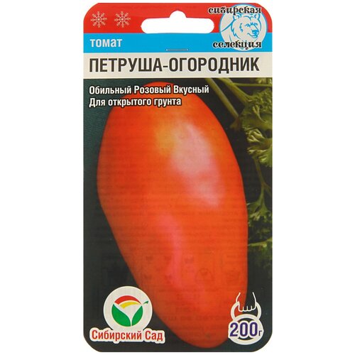 ������ ������ ������ ��������� ��� ����� ������� ��������� 20 �� ����