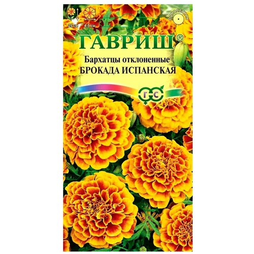 ������ ������ ������ ������ �������� ����������� ������� ��������� (�������) 0,3 � ����