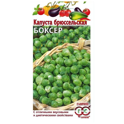 ������ ������ ������ ������ ������� ������������ ������ 0,2 � ����