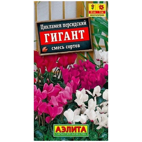 ������ ������ �������� ���������� ������, ����� ������ (3 ��) ����