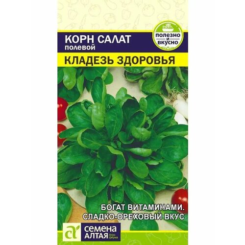 ������ ������ ���� ����� 