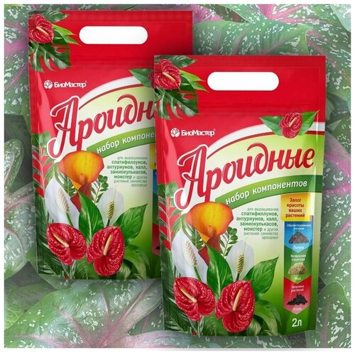 ������ ������ ����� �������� ��� ����������� ������������� �������������� ������� � ������ �������� �������� 4 ����� , 2 �������� * 2� ����