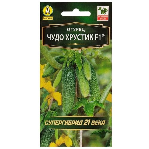 ������ ������ ������ ������ 