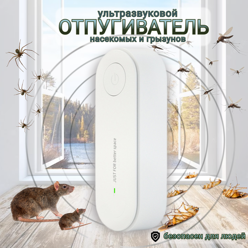 ������ ������ �������������� ������������ ��������� � ��������; ��������� ����� ������� ����