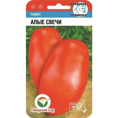 ������ ������ ������ ����� ���� ����� 20�� ����� (��������� ���) ����