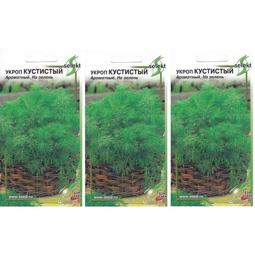 ������ ������ ����� ��������� ���������, �� ������, 3 �������� �� 750 ����� ����