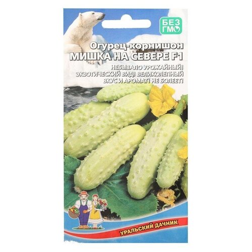 ������ ������ ������ ������ 