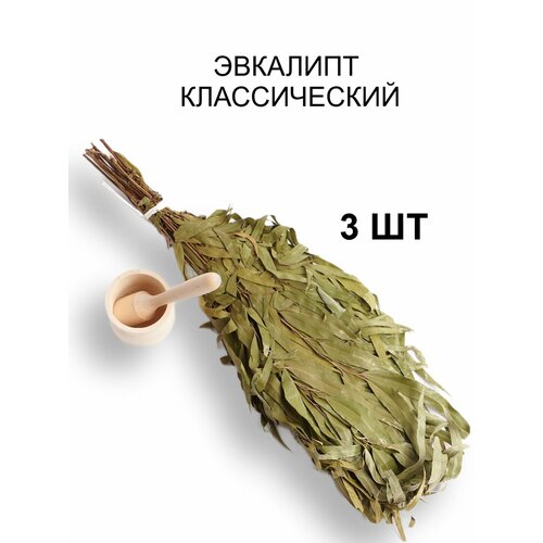 ������ ������ ����� ��� ���� 
