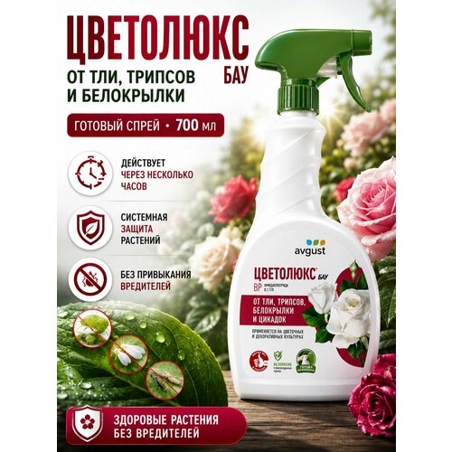 ������ ������ �������� �� ���������� ��� ��������� �������� ��������� ��� Avgust 700 �� ����