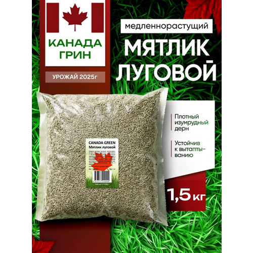 ������ ������ ������ ������� ������ 100% Canada Green, 1,5 �� ����