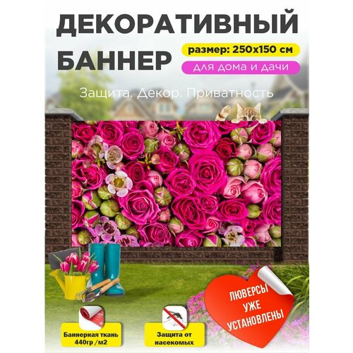 ������ ������ ��������� ������ �� ����� � ��������� 250�150 �� ����