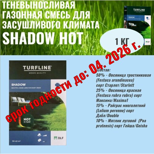 ������ ������ ������ �������� ����� DLF Shadow Hot (�������������� ����� ) 1 �� ����