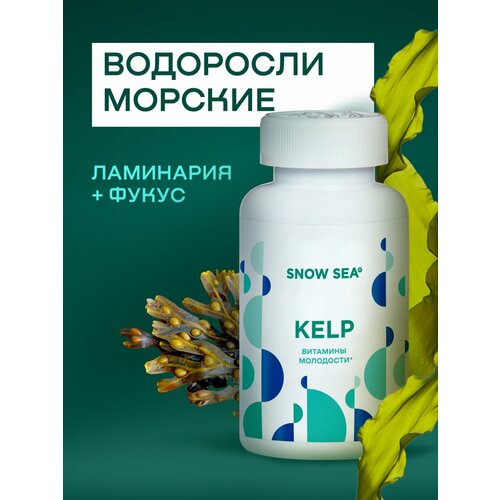 ������ ������ Kelp ��������� � ��������� (��������� � �����) ��1918, 224 ���. ����