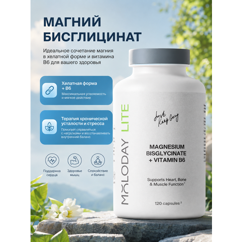 ������ ������ ������ ����������� �� MOLODAY 