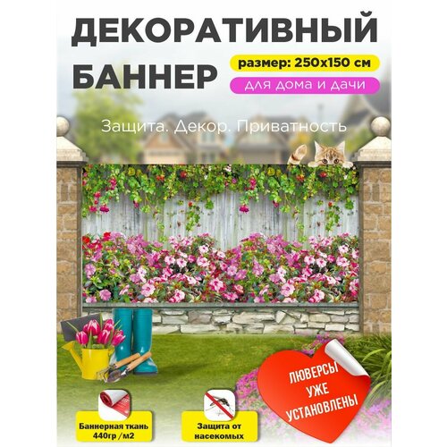 ������ ������ ��������� ������ �� ����� � ��������� 250�150 �� ����