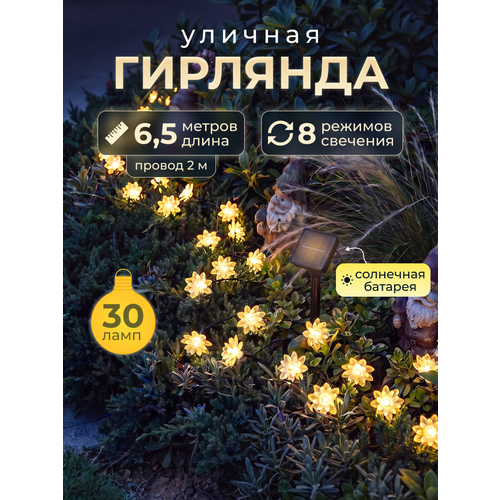 ������ ������ ������������ �������� � ����� ������ ������ �� ��������� ������� 30 ���� 6,5 ����� ����