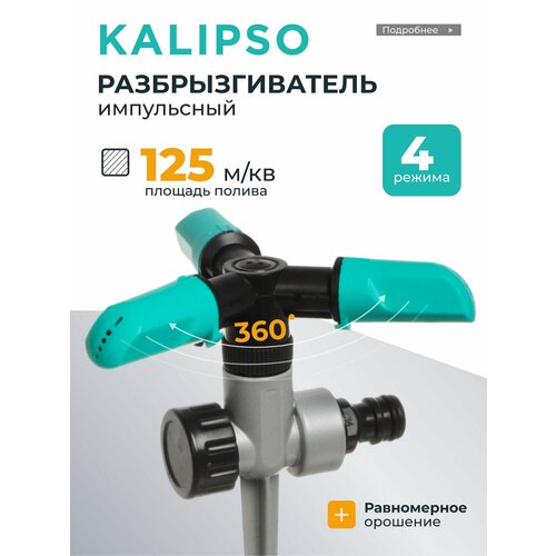 ������ ������ Kalipso ��������������� ���������� ���������������, 4 ������ ����