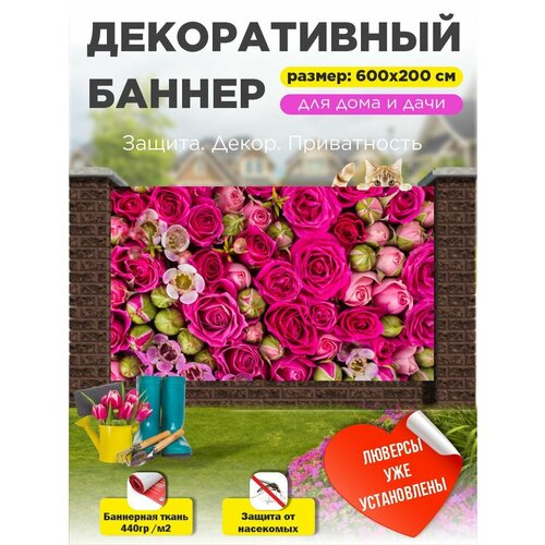 ������ ������ ��������� ������ �� ����� � ��������� 600�200 �� ����