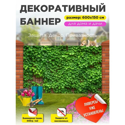 ������ ������ ������������ ����� ������ ��������� 600 �� � 150 �� � ��������� ����