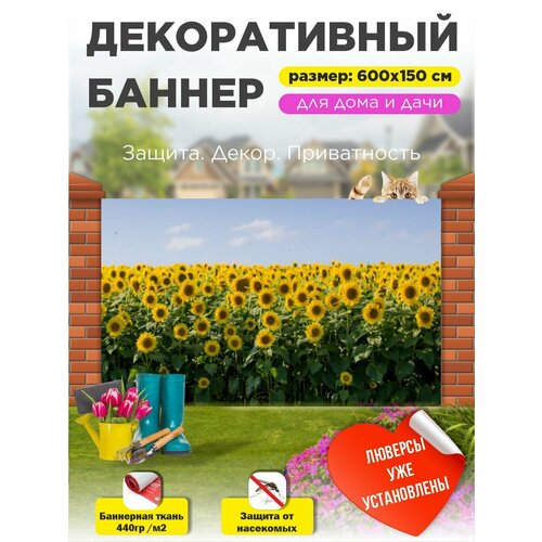 ������ ������ ������������ ����� ������ ��������� 600 �� � 150 �� � ��������� ����
