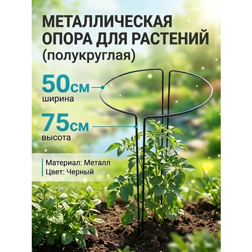 ������ ������ �������������� ��� �������� ����� ��������� ��������� ����� ��� ������ ������������� ������ 50�� ������ 75 �� ����