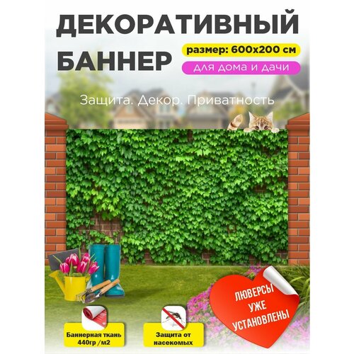 ������ ������ ��������� ������ �� ����� � ��������� 600�200 �� ����
